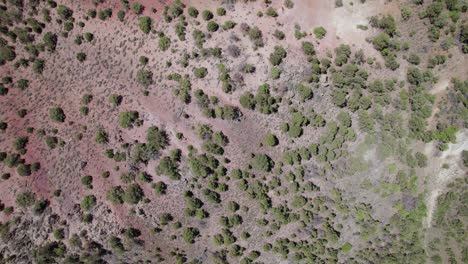 Aéreo-De-Arriba-Hacia-Abajo-Del-Desierto-De-Utah-|-Gran-Montaña-De-Caramelo-De-Roca