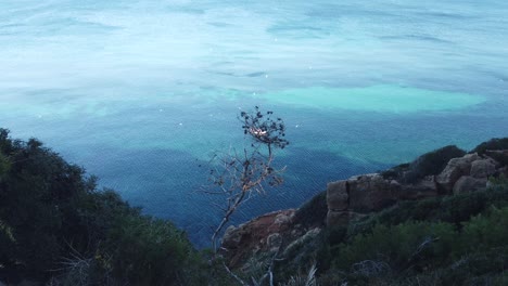 una encantadora vista natural con vistas a un barco en el medio del mar mediterráneo