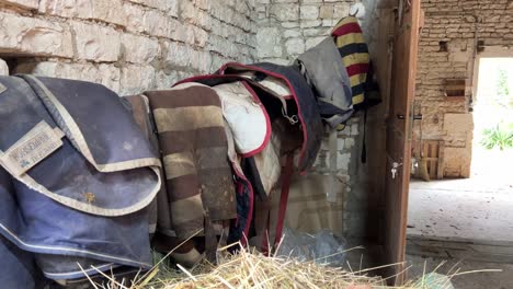 horse saddles and equipment in the stable