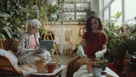 jóvenes floristas plantando flores y usando computadora portátil en el trabajo