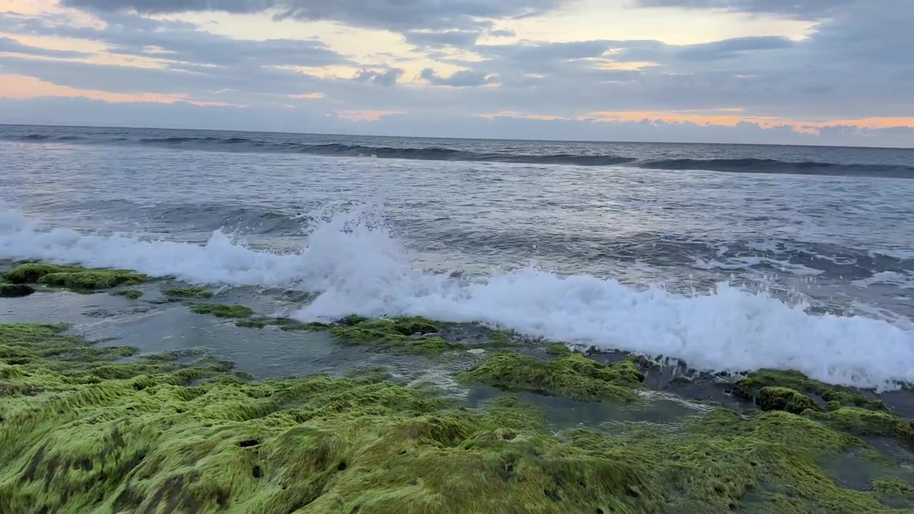 Onde dell'oceano che si infrangono su una costa rocciosa e muschiosa al tramonto