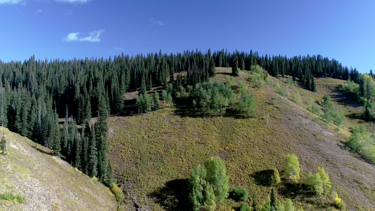 Kebler pass near Crested Butte Colorado during the fall colors from the aspen trees