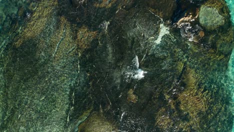 Top-down-view-of-shallow-rocky-sea-with-clear-tropical-water,-aerial-shot-Fiji