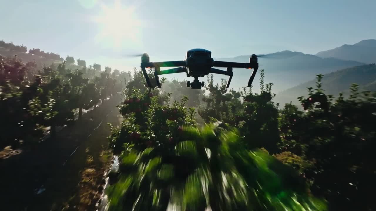 Lancio di un drone quadricottero nero che avanza a bassa quota lungo un filare di frutteto, passando tra rami di frutta e un solco.