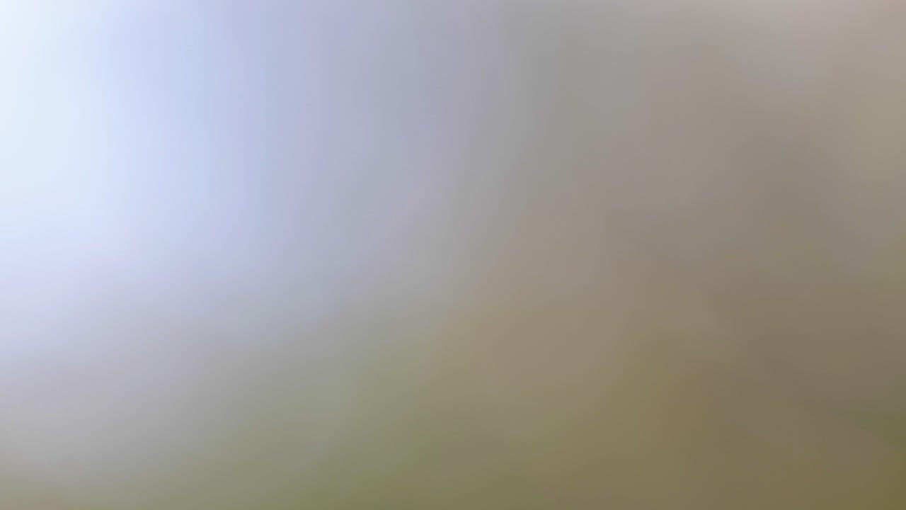 toma macro de cámara lenta cinematográfica de 4k de un pájaro volando a un comedero de pájaros y comiendo semillas