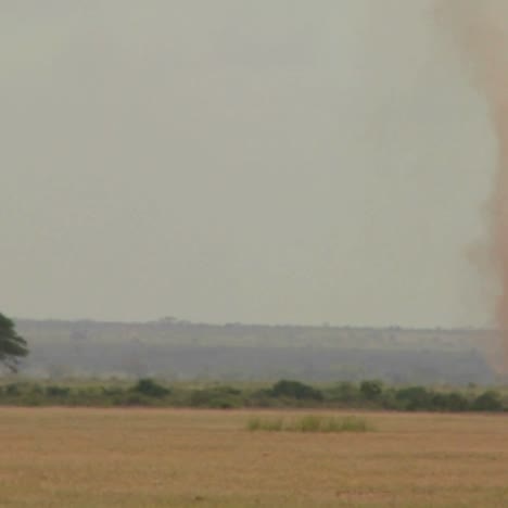 Ein-Staubteufelstaubtornado-Weht-über-Die-Ebenen-Afrikas