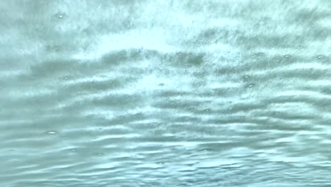 car windshield being sprayed with soap at an automatic car wash.