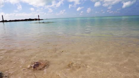 movimiento lento de las olas del océano chocando contra las rocas en la arena