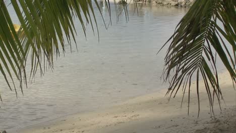películas de la playa