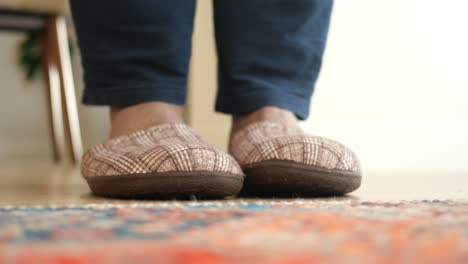 person wearing brown plaid slippers