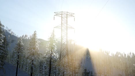 Línea-Eléctrica-Al-Amanecer-En-Un-Bosque-Cubierto-De-Nieve