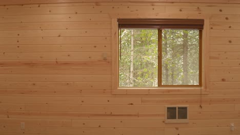 pieza de fondo de pantalla verde de una cabaña y ventana con nieve afuera