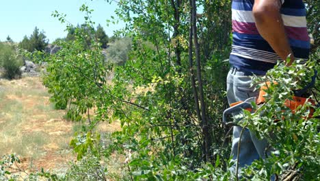 Man-cutting-wood-with-chainsaw-garden