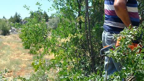 hombre cortando madera con un jardín de motosierra