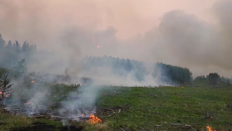 meadow forest fire, burned trees, smoke smog on rural landscape