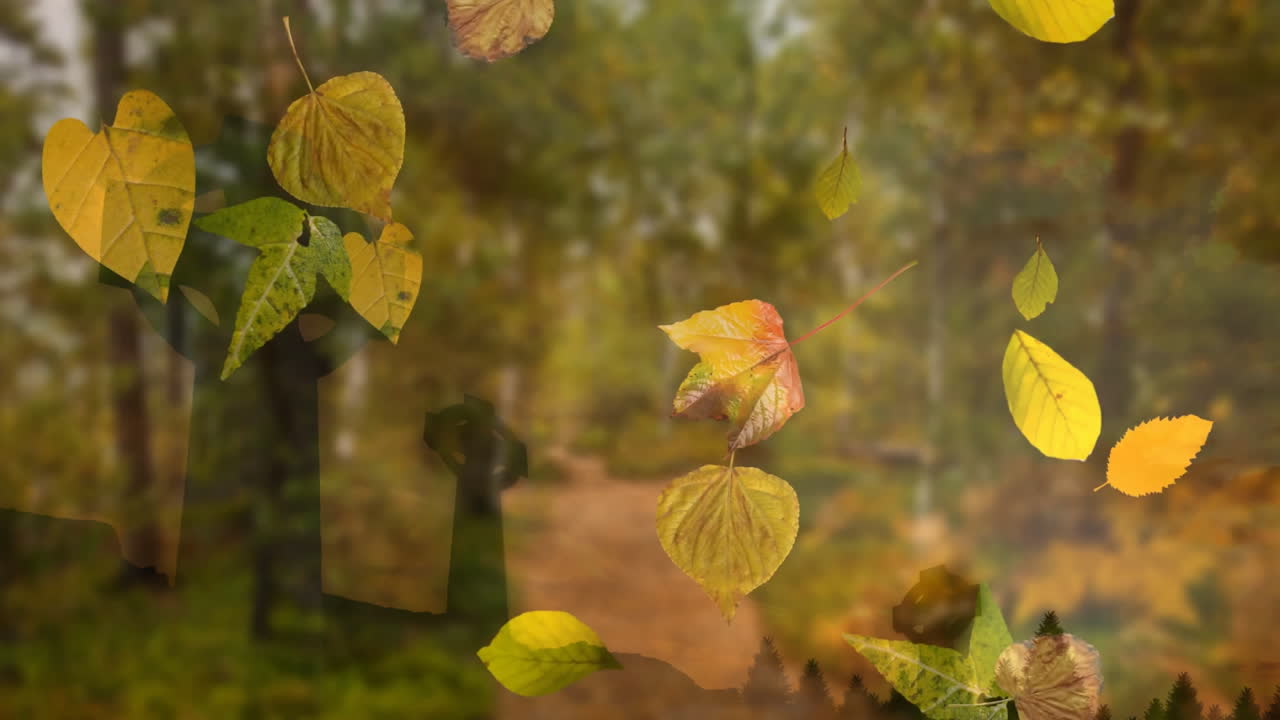 Falling autumn leaves animation over forest path in serene woodland setting