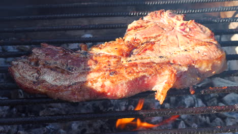 grilling a juicy beef steak on a fire grill with coal, grilling in a park, delicious bbq food, 4k shot