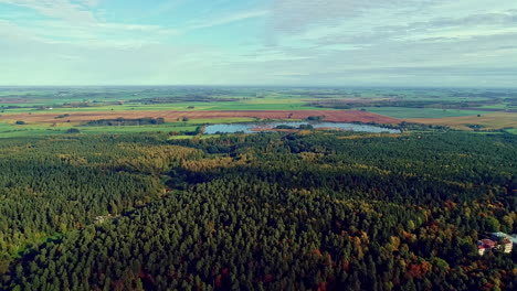 Aerial-drone-backward-moving-shot-of-green-forest