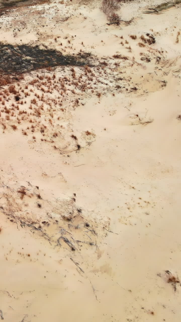 Vista aerea di dune sabbiose del deserto con erba secca