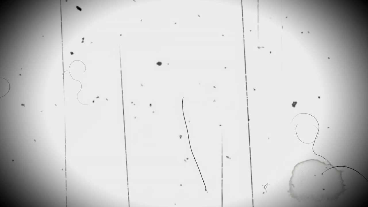Vintage Film Overlay with Scratches, Dust, and Grain