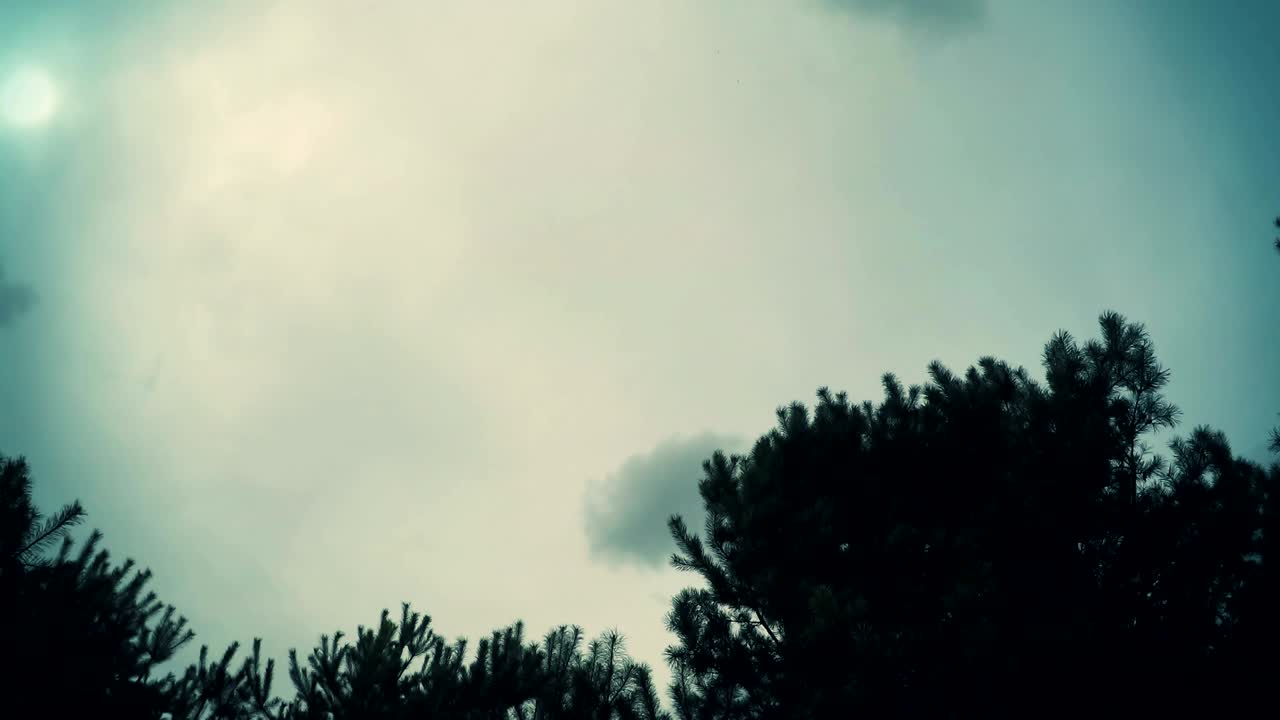 숲의 구형 파노라마, 지나가는 구름의 타임 스, 루프 비디오 360도, 행성 360도, 타임스, 공원 위에 떠다니는 구름