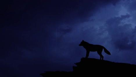 howling wolf silhouette on a cliff with thunder and rain in a dark sky