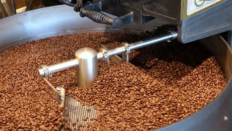 coffee beans in cooling tray after being roasted