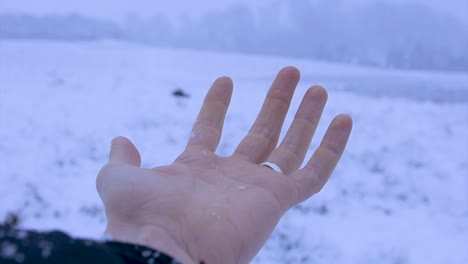 a slow motion shot of a hand catching snow flakes