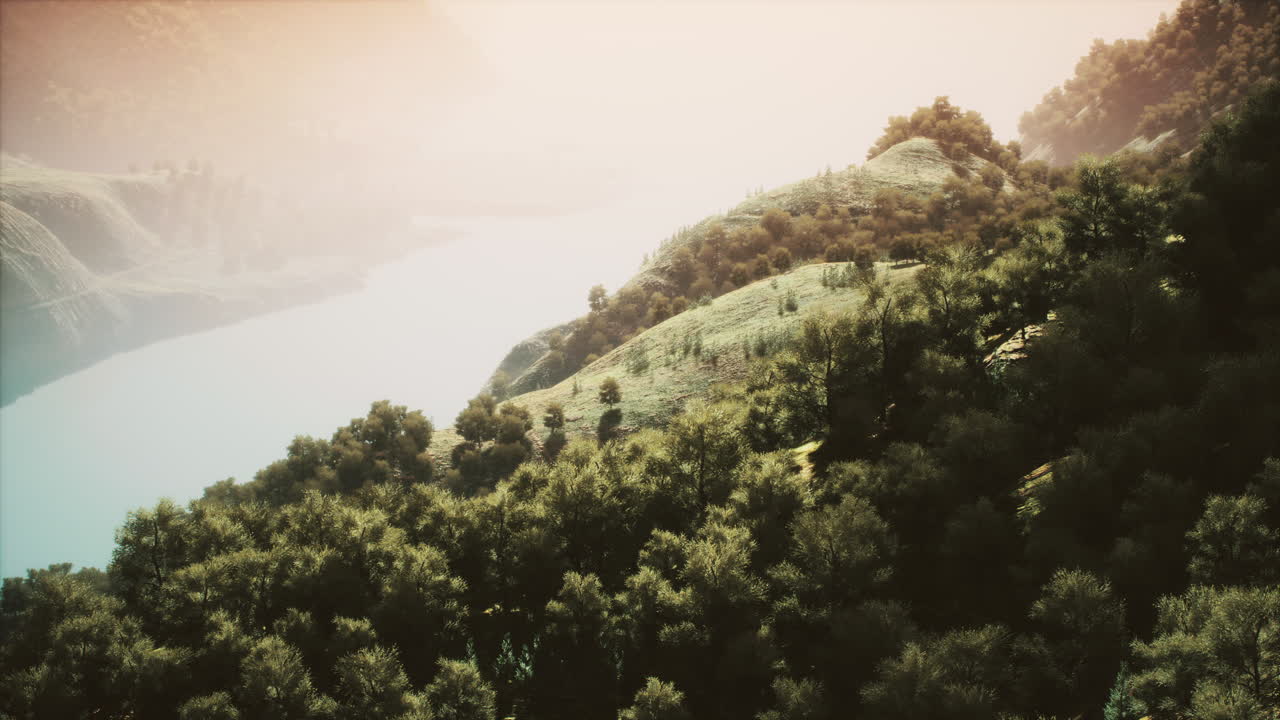 paisaje rural pintoresco con verde valle de montaña de verano y bosques