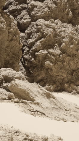 desert landscape with a canyon and rock formations