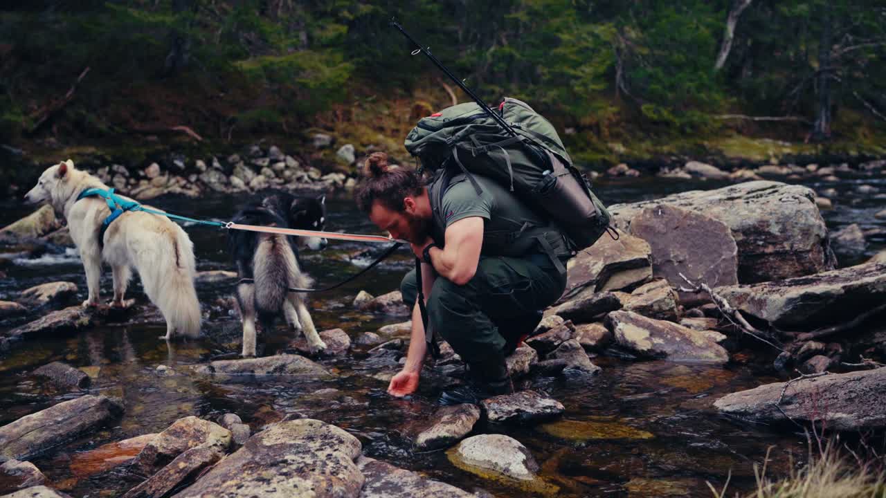 A Hiker and His Two Dogs Pause For a Drink by the River in Reinsjøen, Åfjord, Trøndelag, Norway - Static Shot