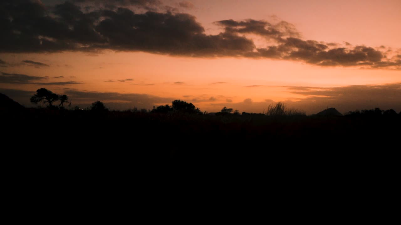 A stationary shot of a silhouette of a field with trees and grass during sunset.