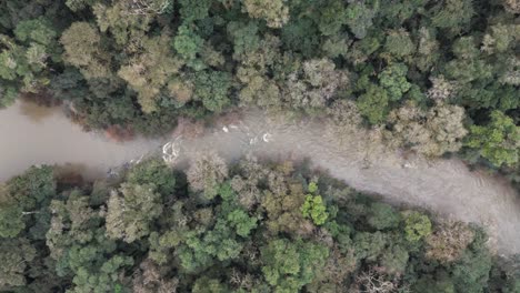 River-water-around-deep-jungle-rainforest,-tree-nature-green-canopy,-aerial-top-down-view