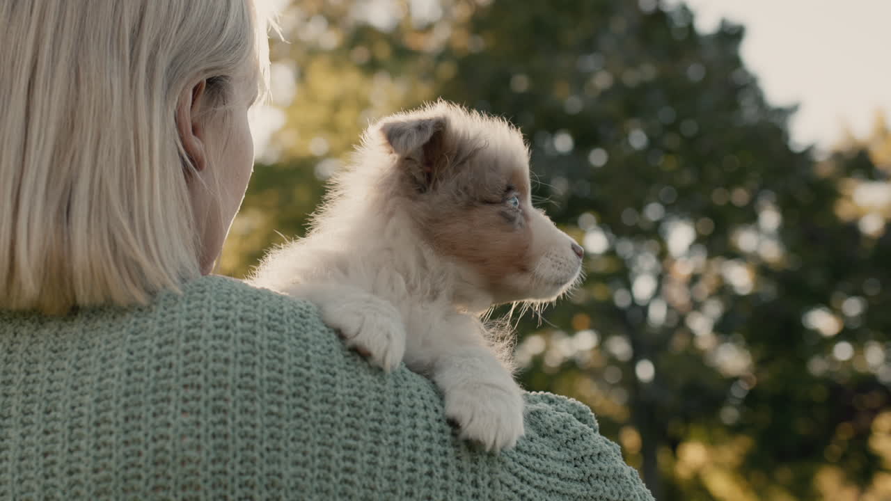 una mujer con un suéter cálido acurruca a su cachorro. juntos caminan por el parque antes del atardecer