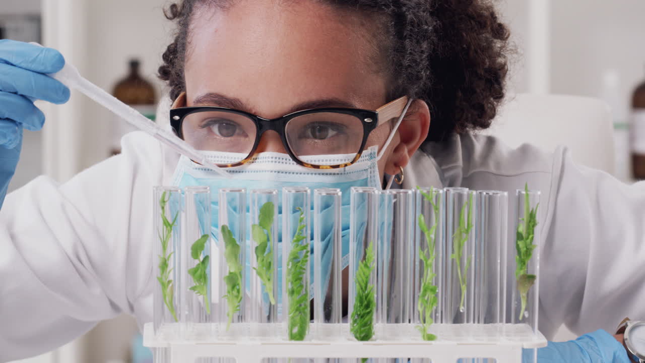 과학, 연구 및 식물 성장 테스트 튜브