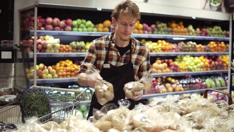 busy caucasian young worker arranging vegetables on shelves at grocery shop. guy in apron filling up storage rack with healthy organic potatos in supermarket