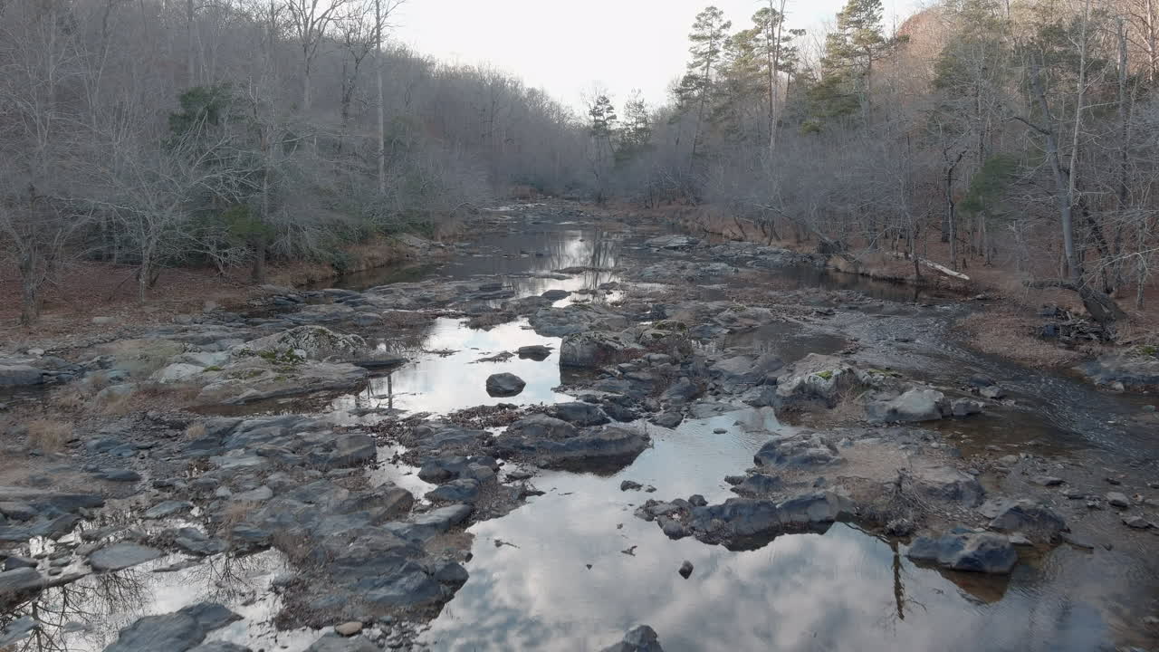 paisaje ominoso con río tranquilo y poco profundo y bosques sin hojas en otoño