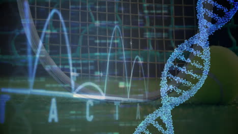 animating tennis court scene with floating 3d dna helix and data grid, showing racket, ball