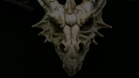sesión de producto de cráneo de dragón de hueso de fantasía