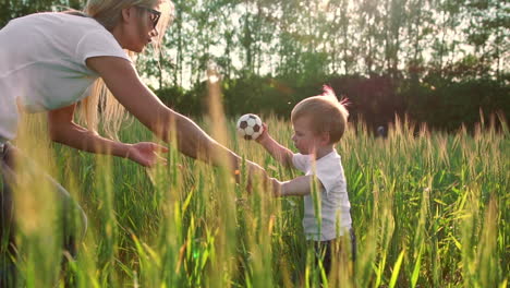 a little boy goes into a field with ears in the sunset light to meet his mother