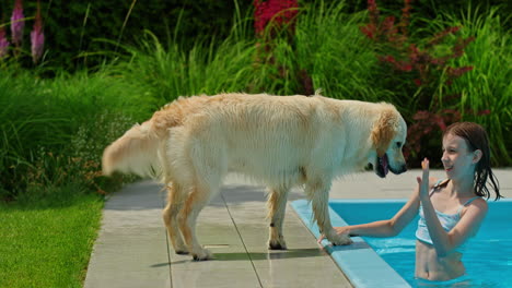 niña y perro en la piscina.