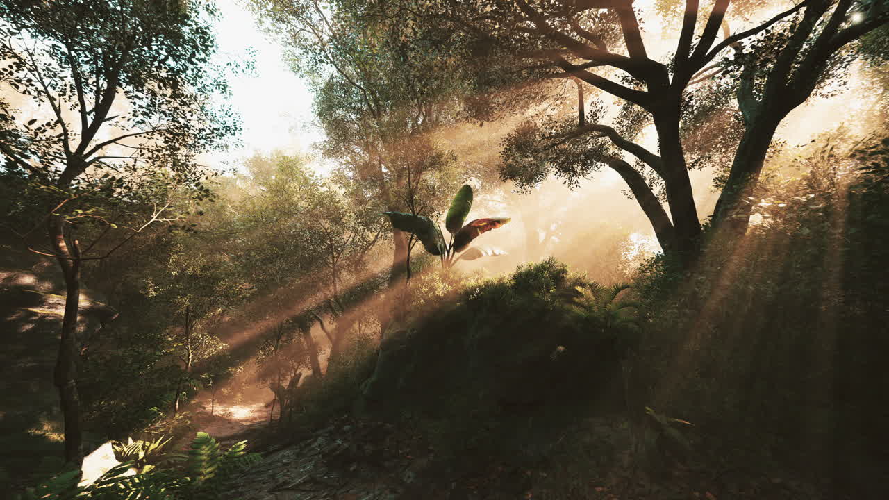 la luz del sol filtrándose a través de la exuberante jungla