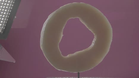 melón girando con bucle en la pantalla de fucsia para la llave de croma