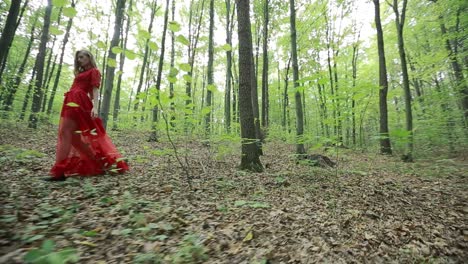 woman walking away alone on a forest. young woman walking away alone on a forest path wearing a red dress