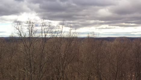 drone takes off and rises above trees and forest in the catskill mountains