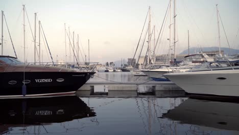 boats in a marina at dawn