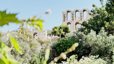 blurry ancient ruins seen through green leaves in athens