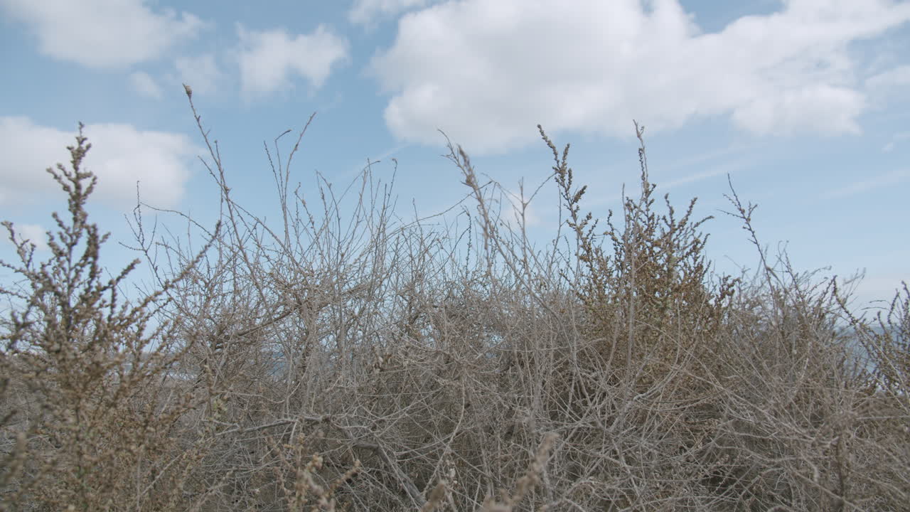 공항에 착륙하는 비행기