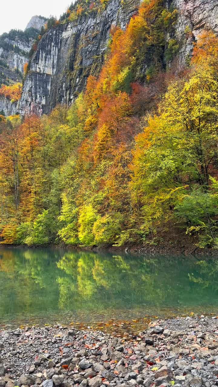 Podzimní krajina Švýcarska, příroda, jezero Klöntalersee, podzimní vertikální video sestřih