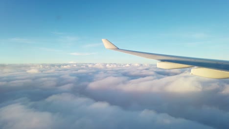 view from the airplane's left window during late afternoon, gliding above clouds a few hundred meters high